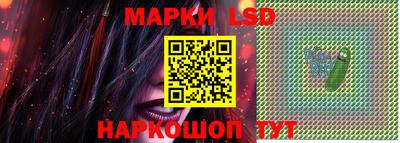 СК Кингисепп