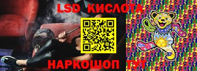 СК Кингисепп