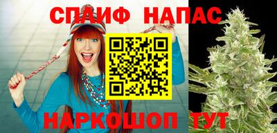 apvp Кинель