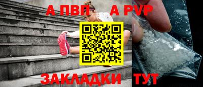 СК Кингисепп