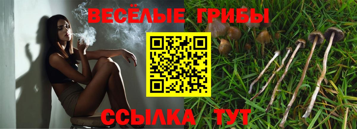 Псилоцибиновые грибы мицелий  Вход с VPN  Армавир 
